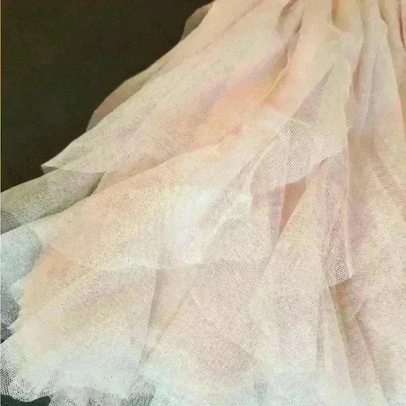 Baby Gap light pink tulle and silk dress size 3-6m - Picture 3 of 6